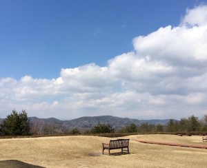 11082532_10205420471725369_7910451188883839333_n